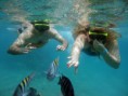 /album/galeria-de-fotos-maracajau-com-punau/a221302-166812416708408-100001389517593-396082-7419800-o-jpg1/